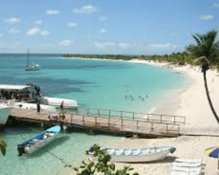 Punta Cana: Catalina Island With Snorkeling - Transportation and Accessibility