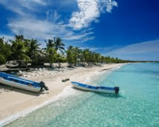 Punta Cana: Catalina Island With Snorkeling - Snorkeling Underwater Adventure