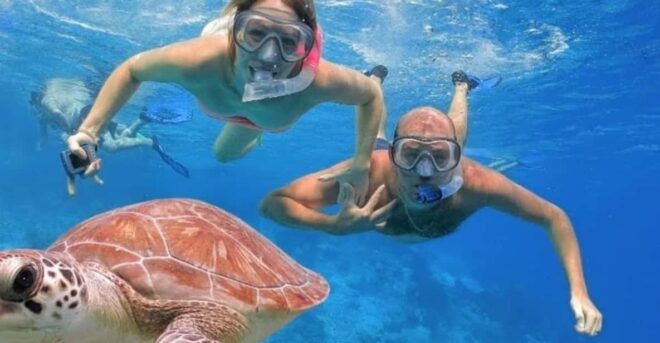 Punta Cana: Catalina Island With Snorkeling - Exploring the Islands Beauty