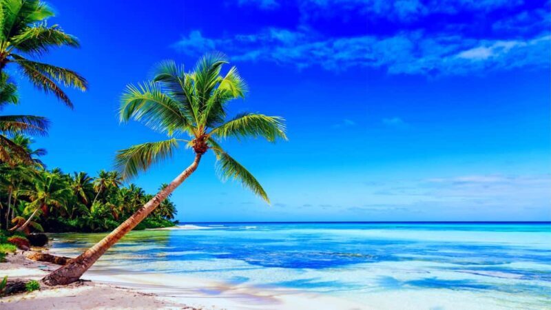 Punta Cana: Catamaran Boat to Saona Island with Buffet Lunch - Practical Tips for Booking & Enjoying the Tour