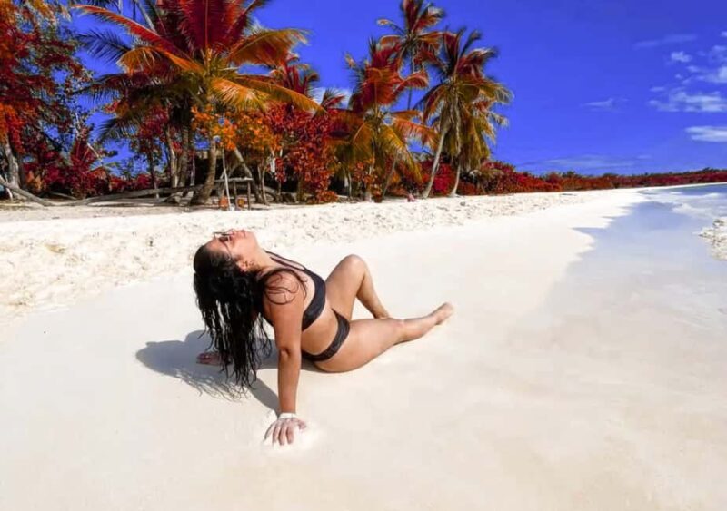 Punta Cana: Catamaran Boat to Saona Island with Buffet Lunch - Breaking Down the Value