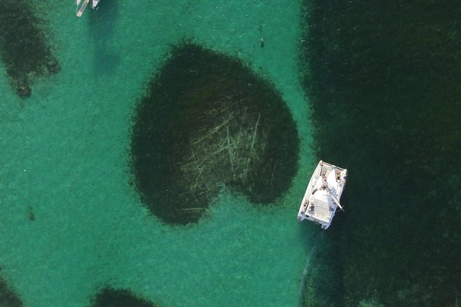 Punta Cana Catamaran Cruise and Snorkeling Adventure - Booking Process