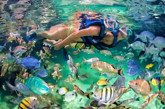 Punta Cana Catamaran: Snorkel, Parasailing & Natural Pool Party - Booking Information