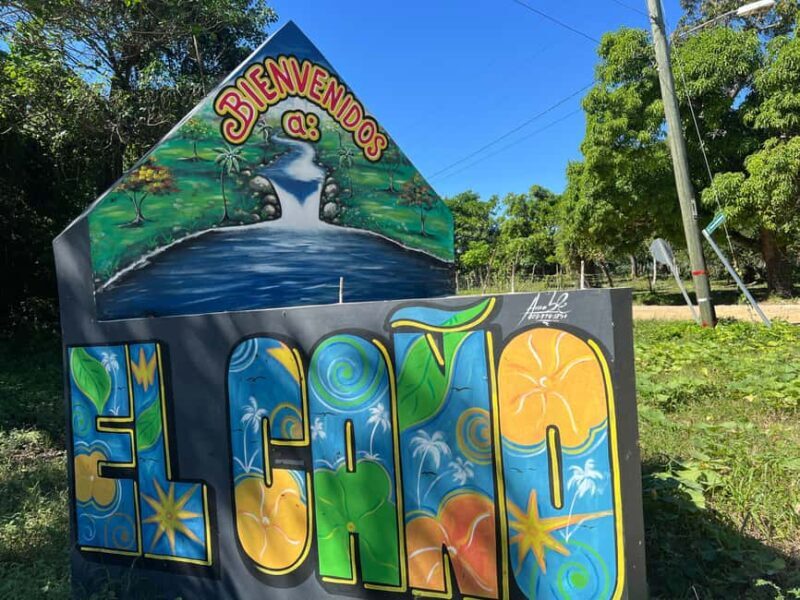 Punta Cana: Coffee Plantation, Chocolate, and Sugar Cane - Introduction