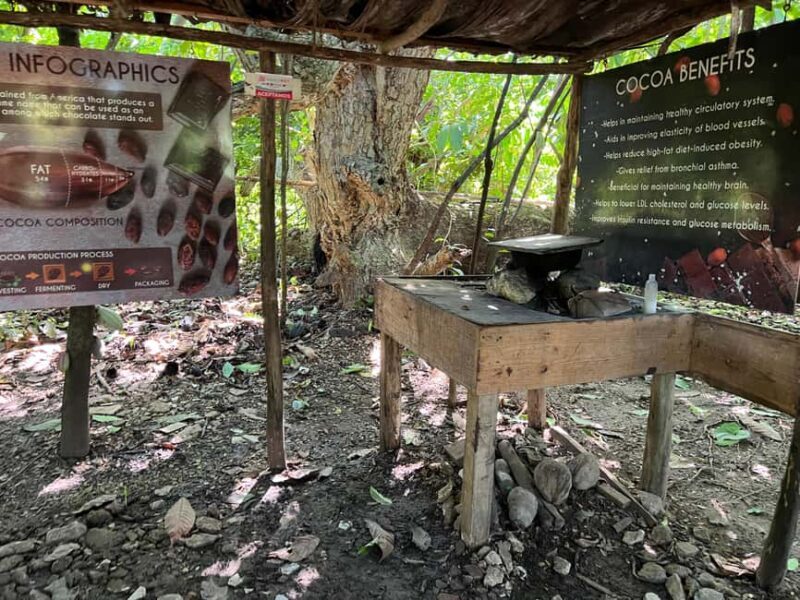 Punta Cana: Coffee Plantation, Chocolate, and Sugar Cane - Final Thoughts