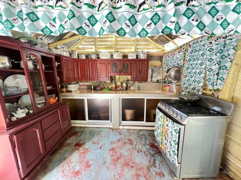 Punta Cana: Coffee Plantation, Chocolate, and Sugar Cane - The Sum Up