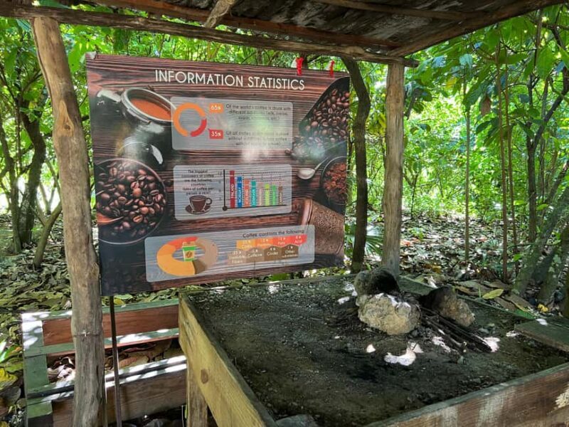 Punta Cana: Coffee Plantation, Chocolate, and Sugar Cane - FAQ
