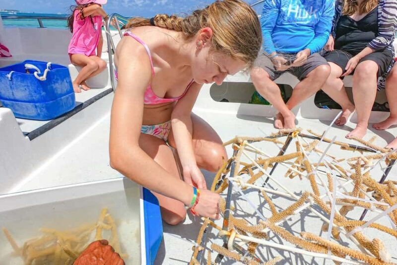 Punta Cana Coral Reef Restoration & Snorkelling Experience - Good To Know