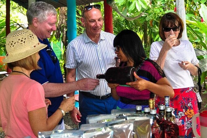 Punta Cana: Cultural half-day tours in the Dominican Republic - Transportation & Group Size