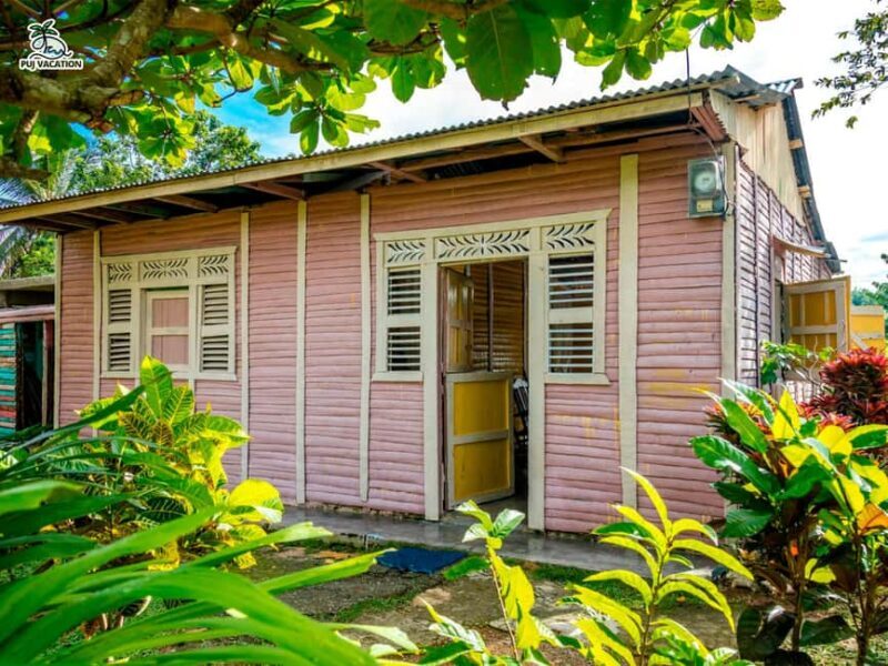 Punta Cana Cultural Tour History and Traditions Small Group - What’s Included and How It All Comes Together