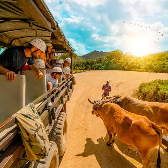 Punta Cana Cultural Tour History and Traditions Small Group - Transportation, Timing, and Group Size