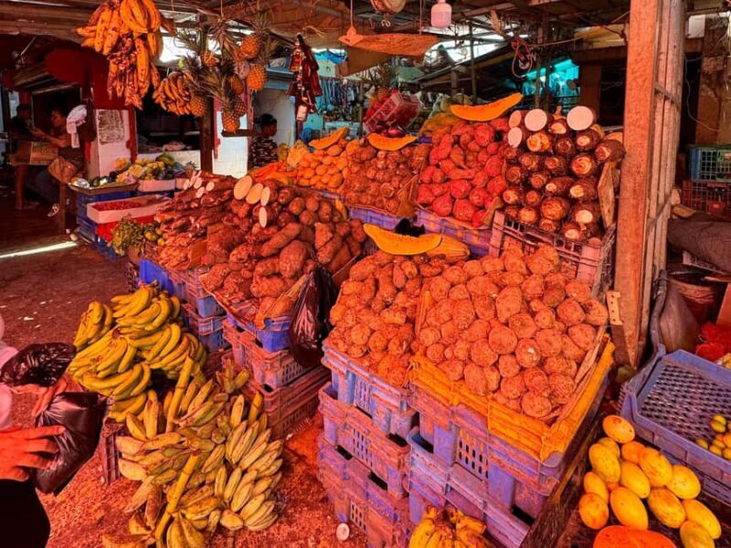 Punta Cana Cultural Tour History and Traditions Small Group - Who Should Consider This Tour?