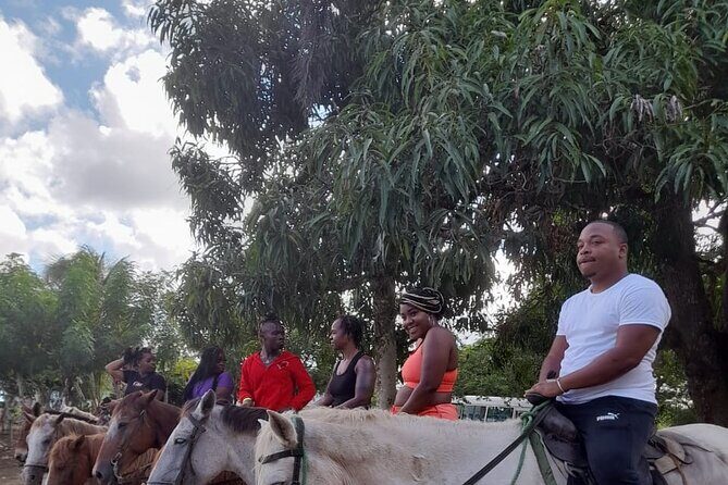 Punta Cana: Cultural Tour Safari Truck Food Included Pickup Hotel - What Travelers Love About This Tour