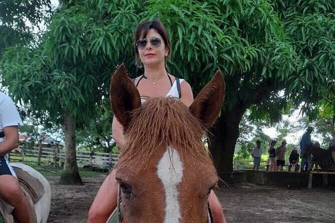 Punta Cana: Cultural Tour Safari Truck Food Included Pickup Hotel - Who Should Consider This Tour?