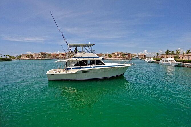 Punta Cana Deep Sea Fishing  Private 4H Charter from Cap Cana - Is It Worth the Price?