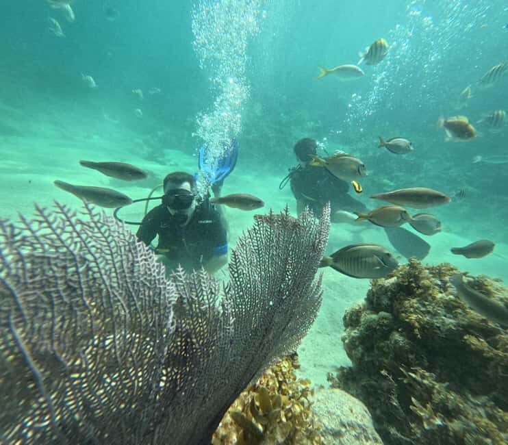 Punta Cana: Discover Scuba Diving Experience for Beginners - An In-Depth Look at the Experience