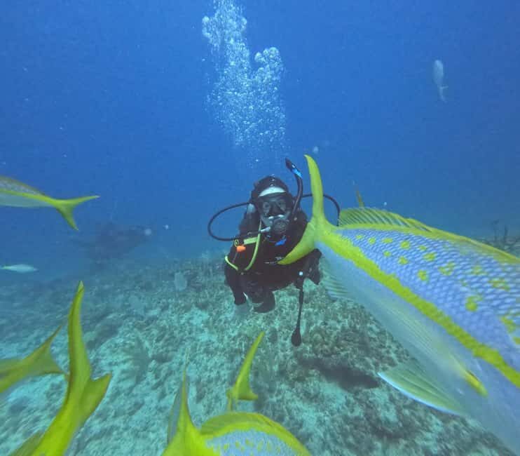 Punta Cana: Discover Scuba Diving Experience for Beginners - Who Should Consider This Tour?