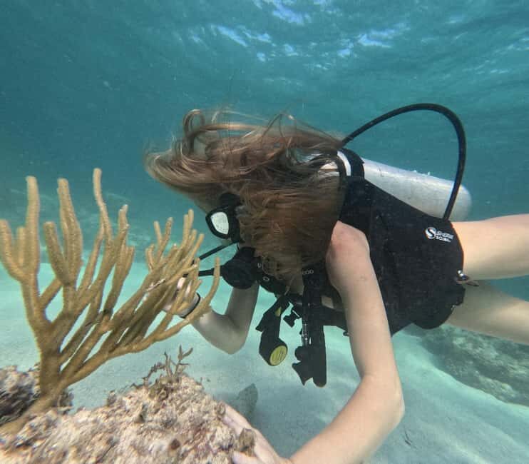 Punta Cana: Discover Scuba Diving Experience for Beginners - The Sum Up
