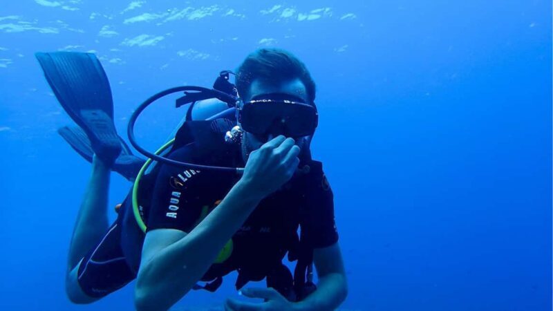 Punta Cana: Dive the Coral Paradise of Catalina Island - Who Will Love This Tour?