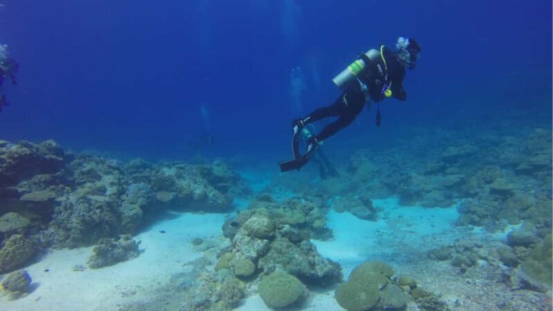 Punta Cana: Dive the Coral Paradise of Catalina Island - FAQ