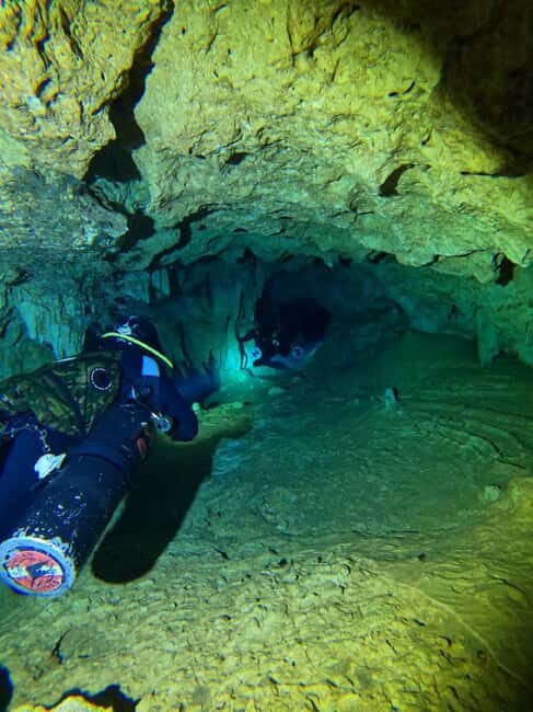Punta Cana: Diving in Cavernes or Cenotes - What Makes the Cenotes Unique?