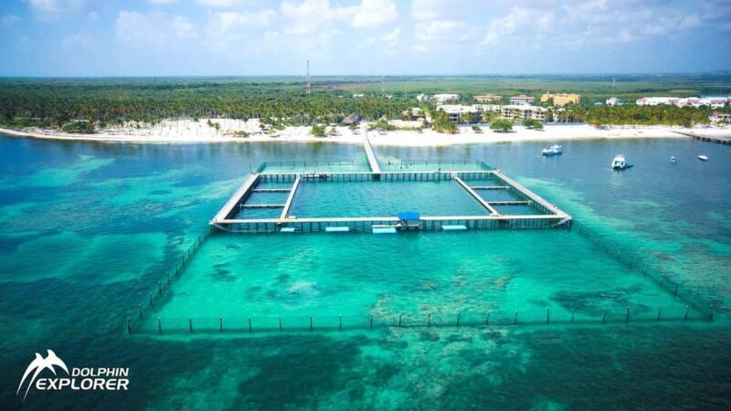 Punta Cana Dolphin Adventure: 40-Minute Interaction - Practical Details to Keep in Mind