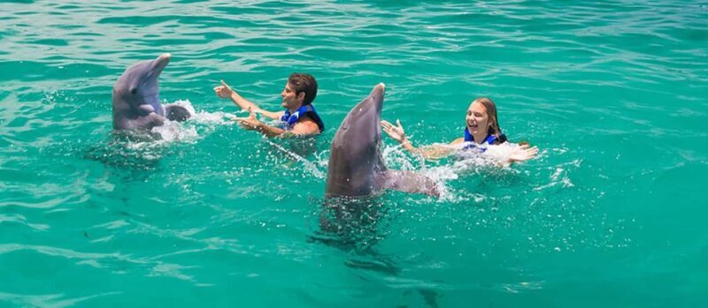 Punta Cana Dolphin Adventure: 40-Minute Interaction - The Sum Up: Is It Worth It?