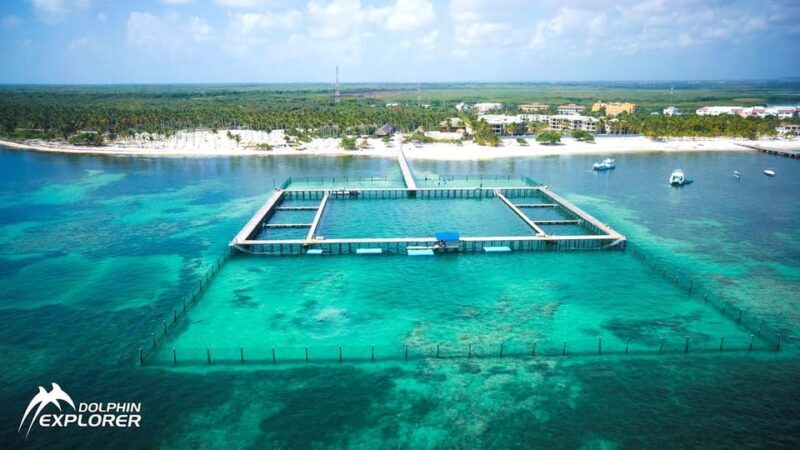 Punta Cana Dolphin Adventure: 40-Minute Interaction - FAQ