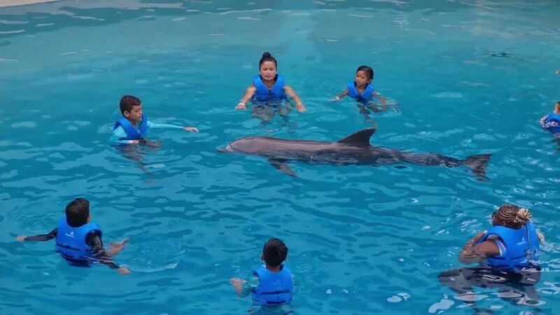 Punta Cana: Dolphin Discovery Park Tour with Hotel Transfers - Good To Know