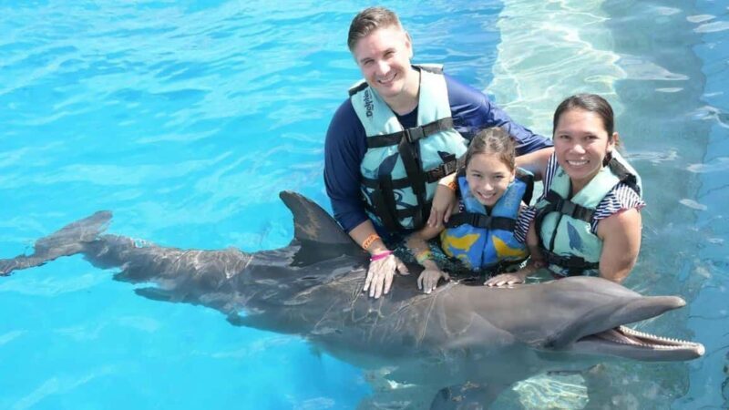 Punta Cana: Dolphin Discovery Park Tour with Hotel Transfers - An in-depth look at the Punta Cana Dolphin Discovery Tour
