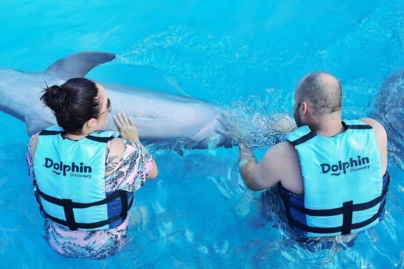 Punta Cana: Dolphin Discovery Park Tour with Hotel Transfers - FAQ