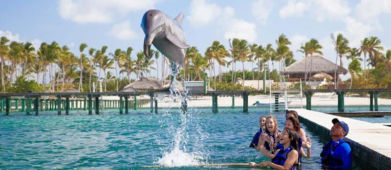 Punta Cana Dolphin Experience: 50 Minutes of Water Fun - Good To Know