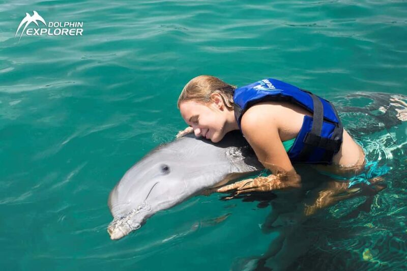 Punta Cana Dolphin Experience: 50 Minutes of Water Fun - An In-Depth Look at the Punta Cana Dolphin Experience