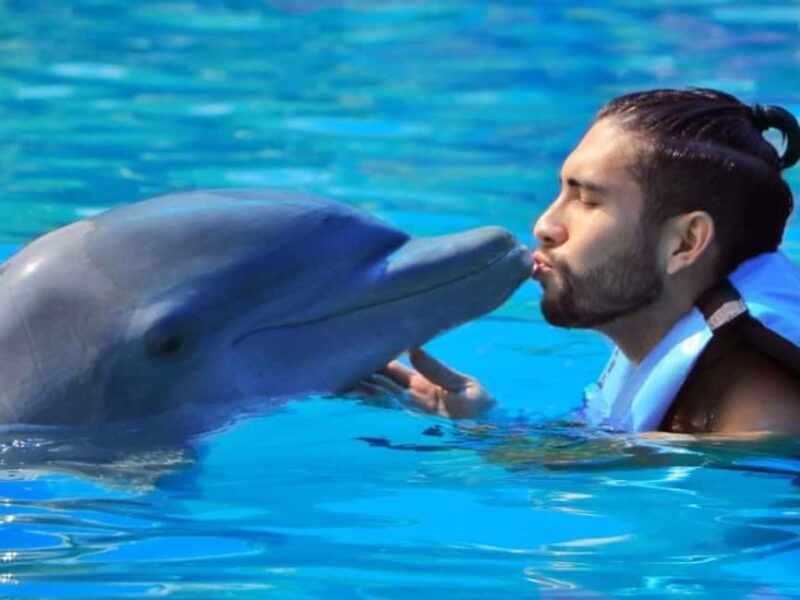 Punta Cana: Dolphin Explorer Park Entry, Swim, or Encounter - Good To Know