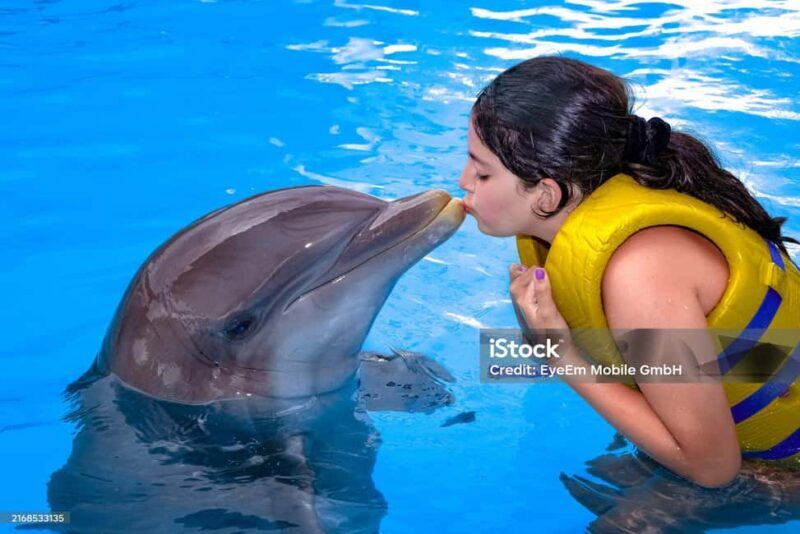 Punta Cana: Dolphin Explorer Park Entry, Swim, or Encounter - What to Expect During the Visit