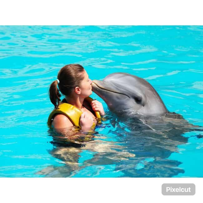 Punta Cana: Dolphin Explorer Park Entry, Swim, or Encounter - Authentic Insights from Reviewers