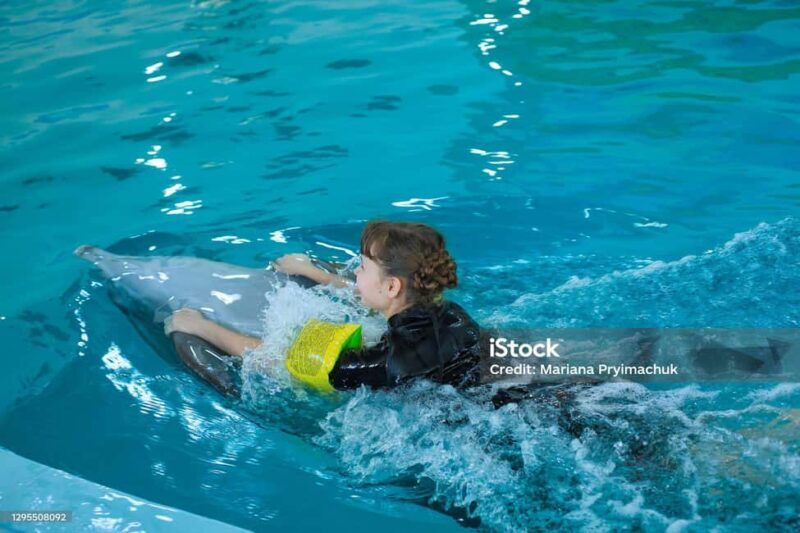 Punta Cana: Dolphin Explorer Park Entry, Swim, or Encounter - Who Will Love This Tour?