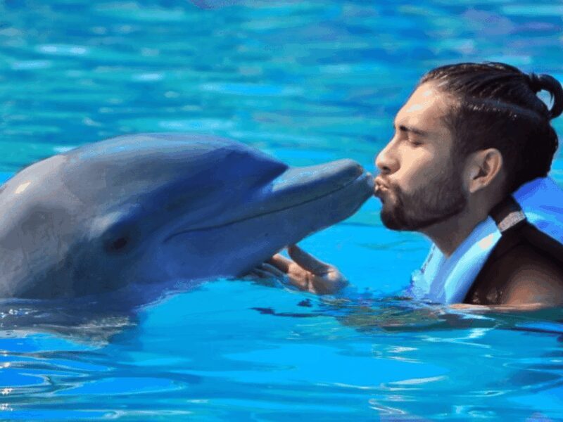 Punta Cana: Dolphin Explorer Park Entry, Swim, or Encounter - Final Thoughts