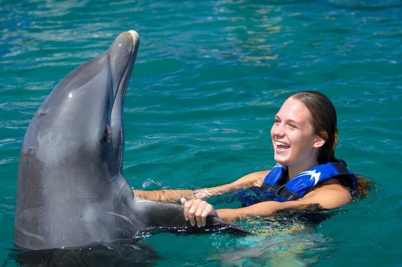 Punta Cana: Dolphin Explorer Swims and Interactions - Good To Know  