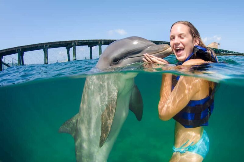 Punta Cana: Dolphin Explorer Swims and Interactions - FAQs  