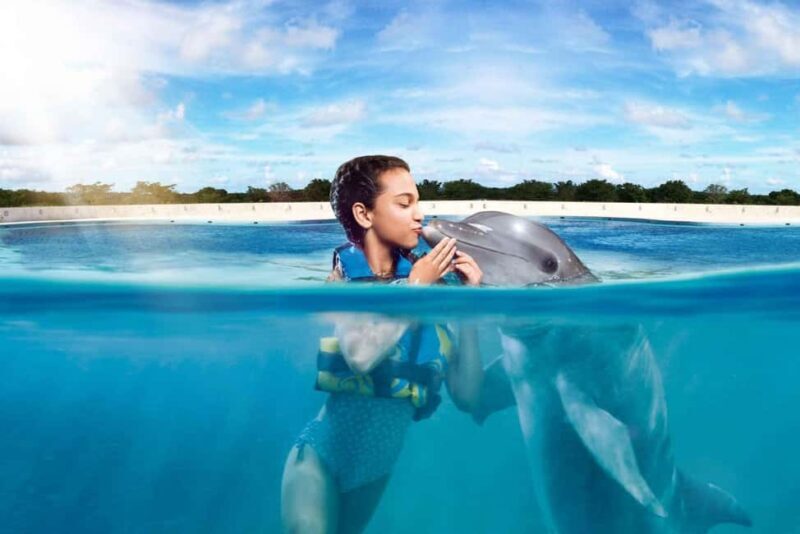 Punta Cana: Dolphin Interaction Experience & Hotel Transfers - Good To Know