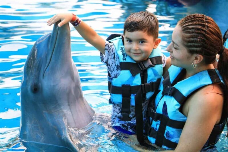 Punta Cana: Dolphin Interaction Experience & Hotel Transfers - An In-Depth Look at the Punta Cana Dolphin Experience