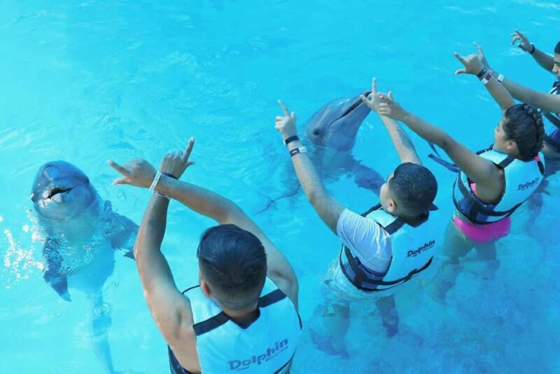 Punta Cana: Dolphin Interaction Experience & Hotel Transfers - FAQ