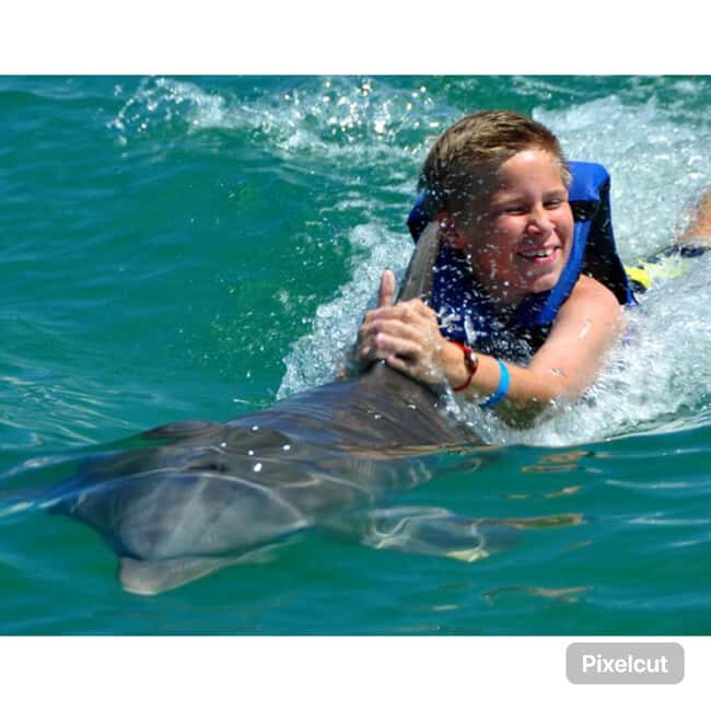 Punta Cana: Dolphin Park Entry and Swim with Dolphins - Good To Know