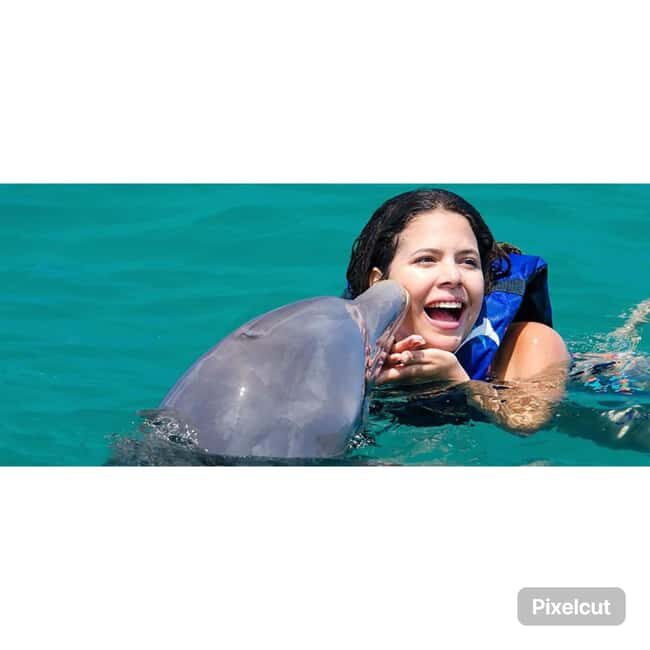 Punta Cana: Dolphin Park Entry and Swim with Dolphins - Who Would Love This Tour?