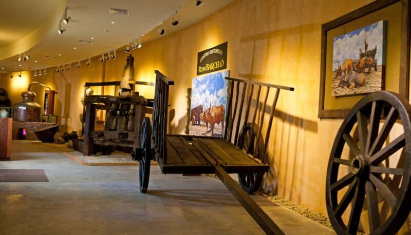 Punta Cana: Dominican Flavors Guided Day Trip - An In-Depth Look at the Itinerary