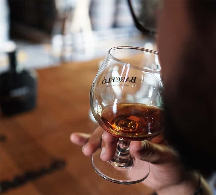 Punta Cana: Dominican Flavors Guided Day Trip - Final Thoughts