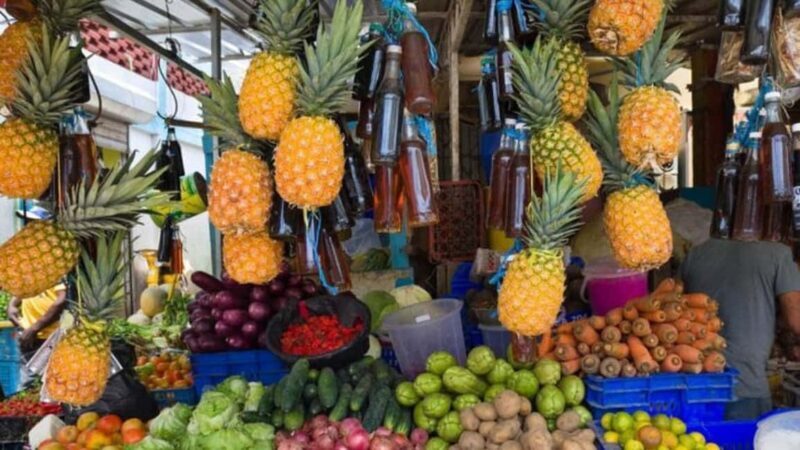 Punta Cana: Dominican Republic Culture Tour - Good To Know