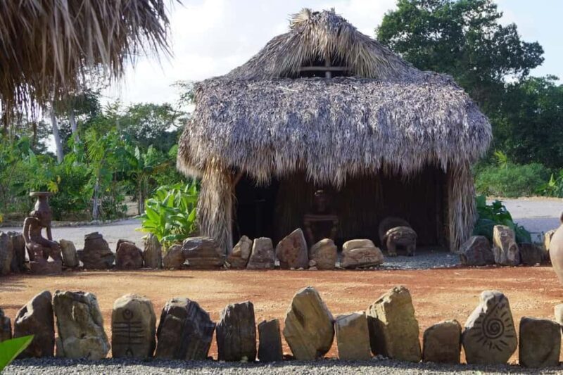 Punta Cana: Domitai Park Zipline, Buggy & Cenote Tour - The Value of This Tour