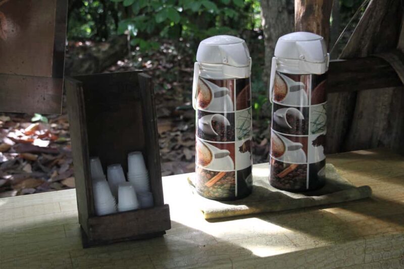 Punta Cana E-bike tour: Macao, El Salado, Ceiba, El Caño - Good To Know